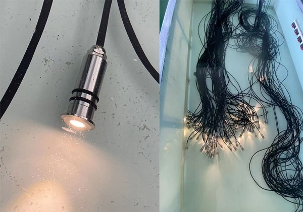 水池LED迷你星星燈（ 22大1W）